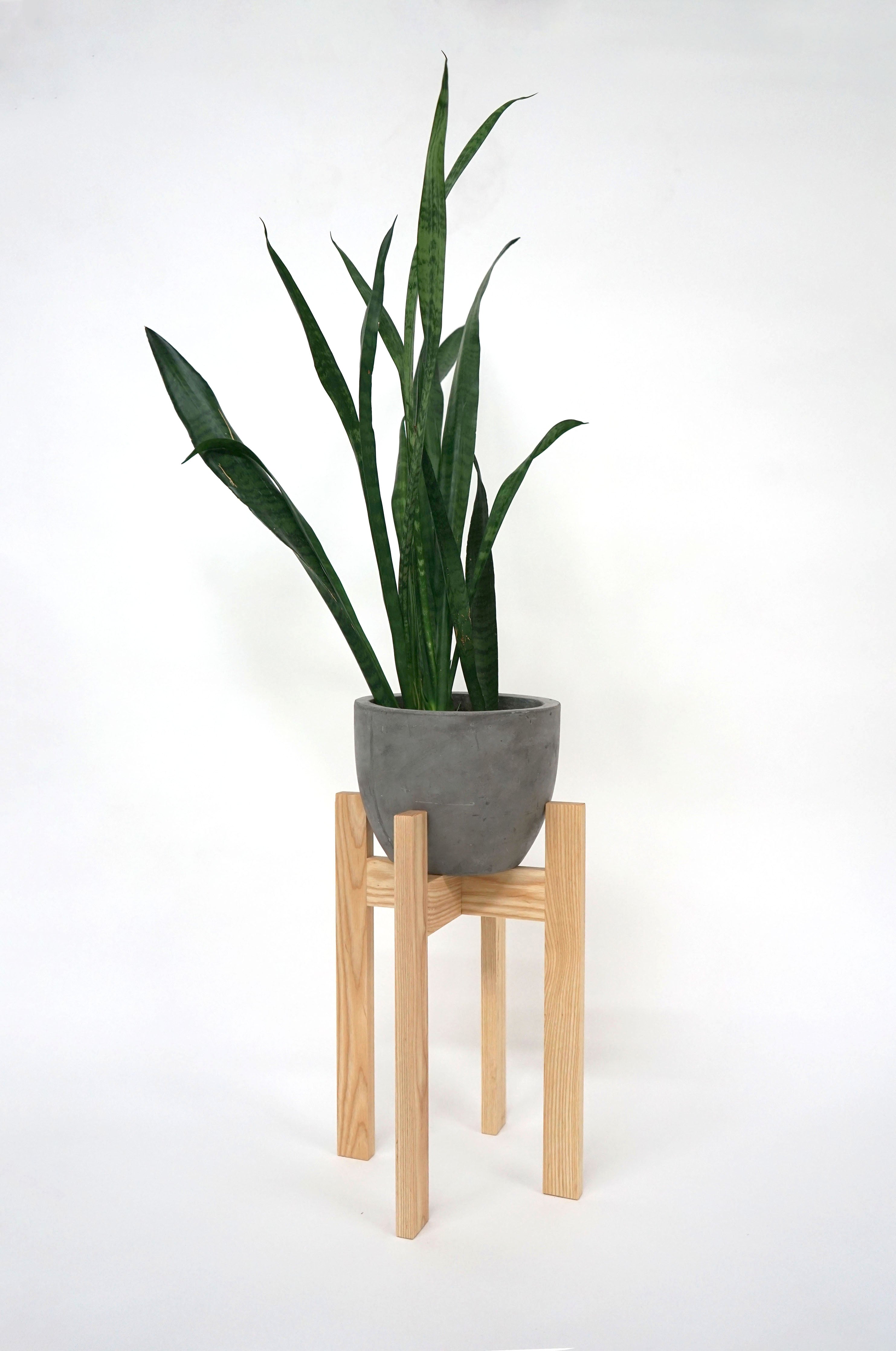 Plant Stands