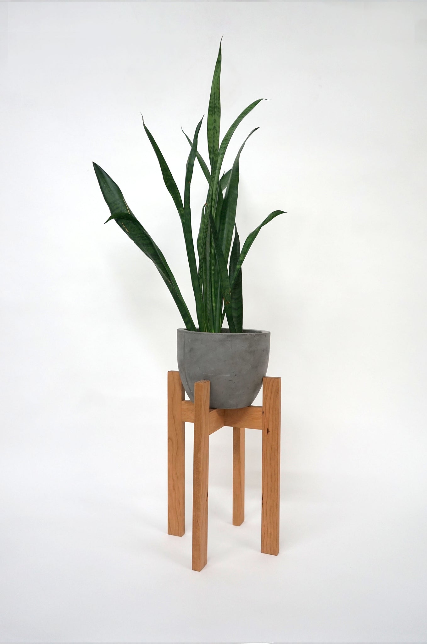 Plant Stands